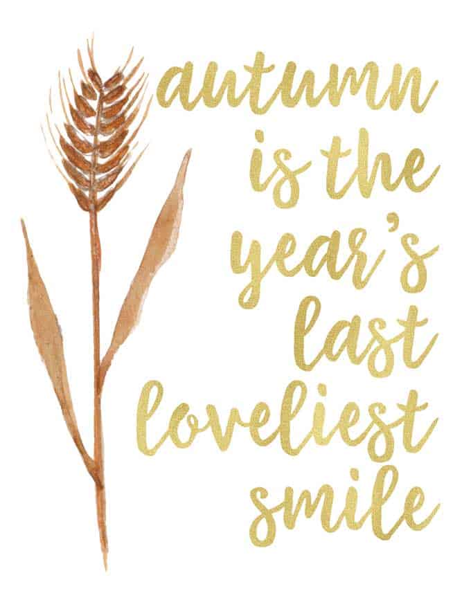 autumn is the year's last loveliest smile written in gold next to hand-drawn piece of wheat