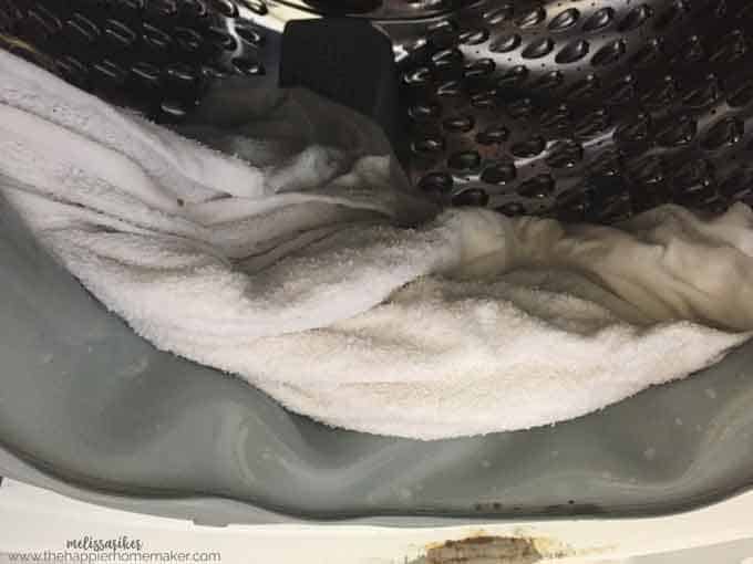 How to kill mold on a Front load washer You need: Bleach Gloves Water Bowl  Cotton rounds (beauty isle…