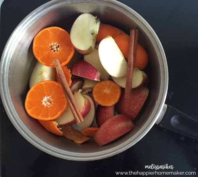 Easy To Make Fall Simmering Potpourri - StoneGable