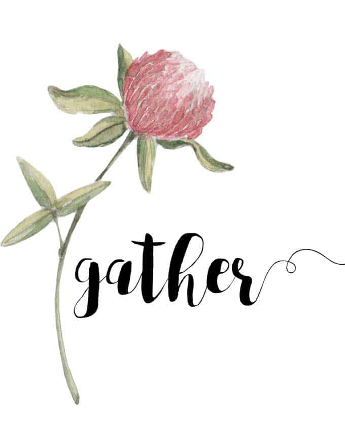 A pale pink thistle on a green stem with the word "gather" to the right of it