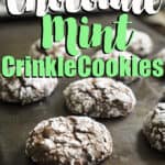 chocolate mint crinkle cookies on baking sheet