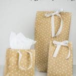 Three different sized gift bags with white ribbons 