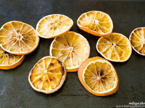 How to Make Dried Orange Slices - Frugal Mom Eh!