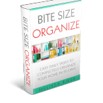 A close up of a book titled "Bit Size Organize"