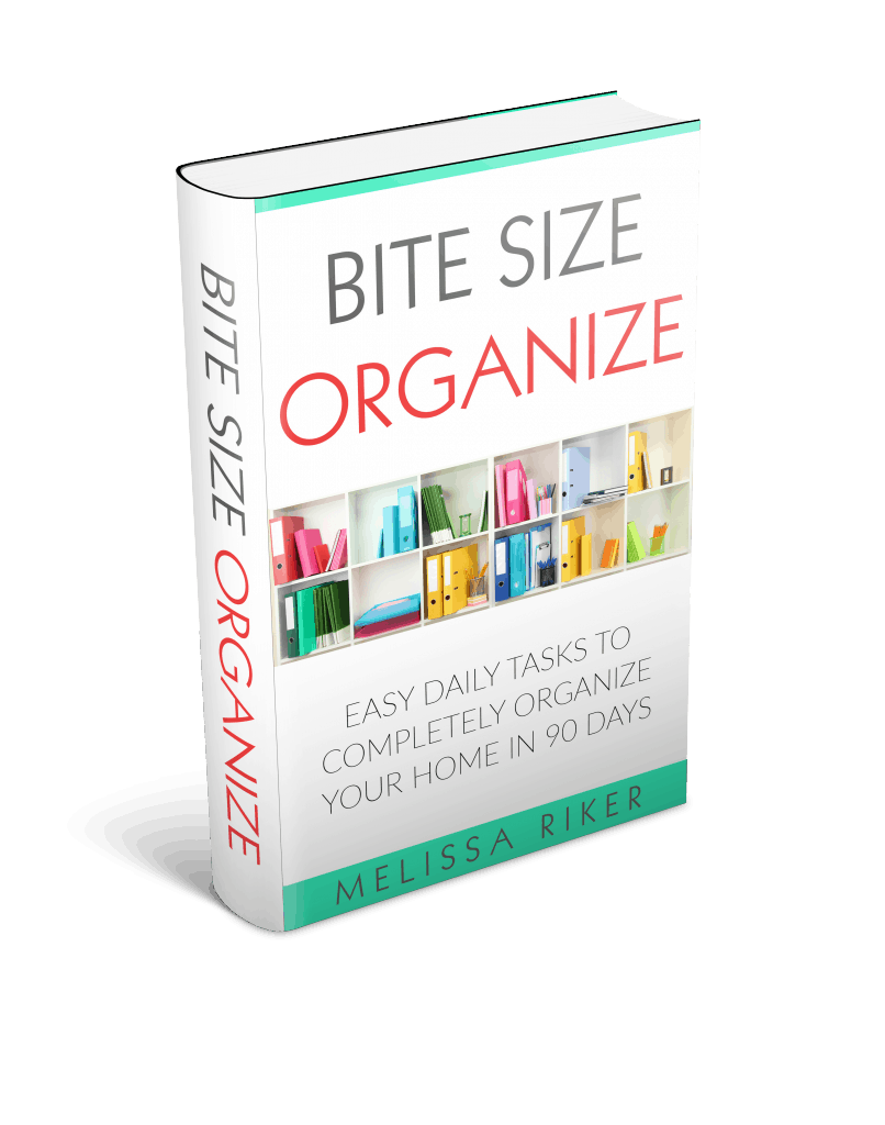 A close up of a book titled \"Bit Size Organize\"