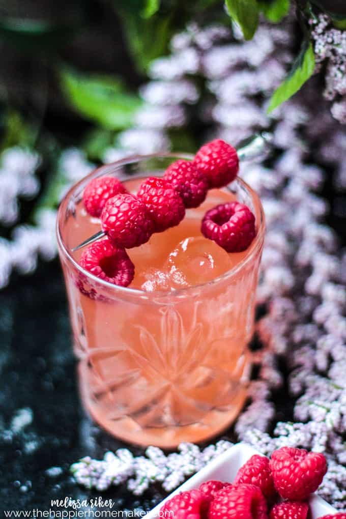 A close up of a glass of ruby red raspberry cocktail garnished with speared fresh raspberries