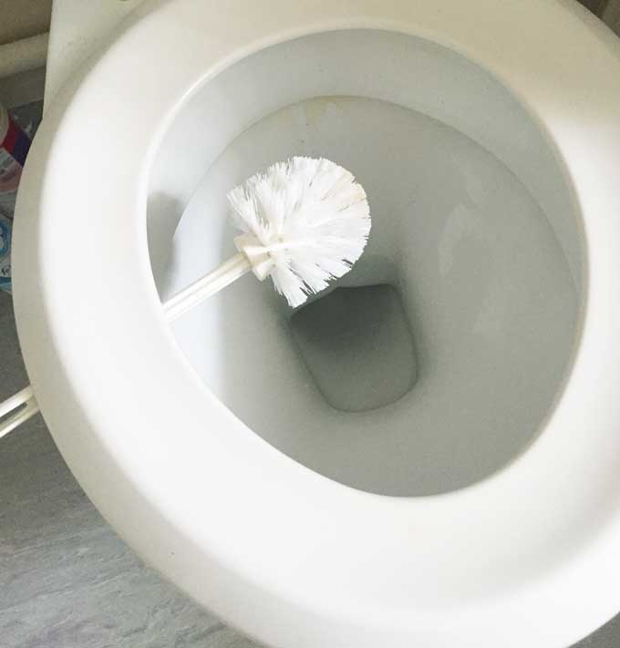 A close up of a toilet bowl with a cleaning brush ready to clean it