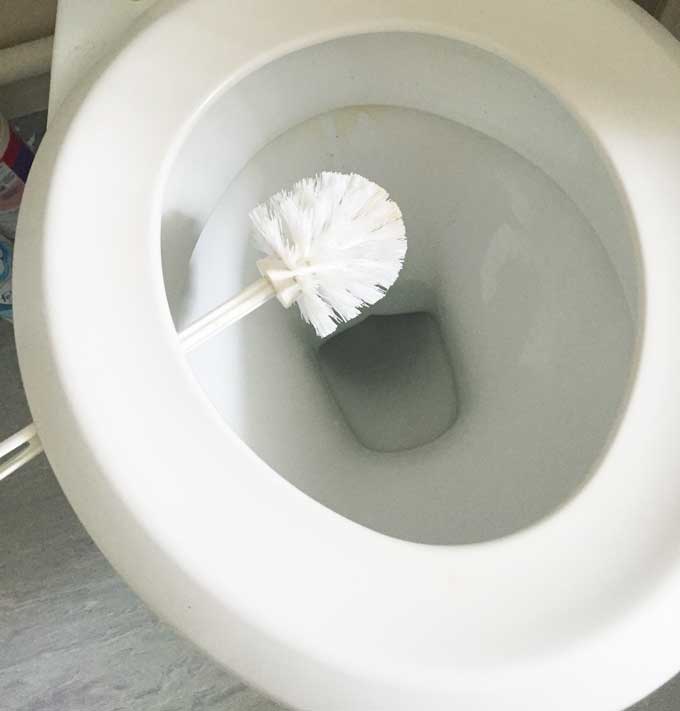 The Easiest Way To Clean Your Toilet Brush Is Actually In The Toilet