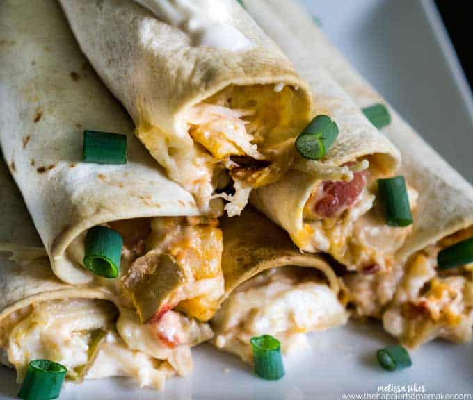 A close up of creamy cheesy chicken taquitos garnished with green onions
