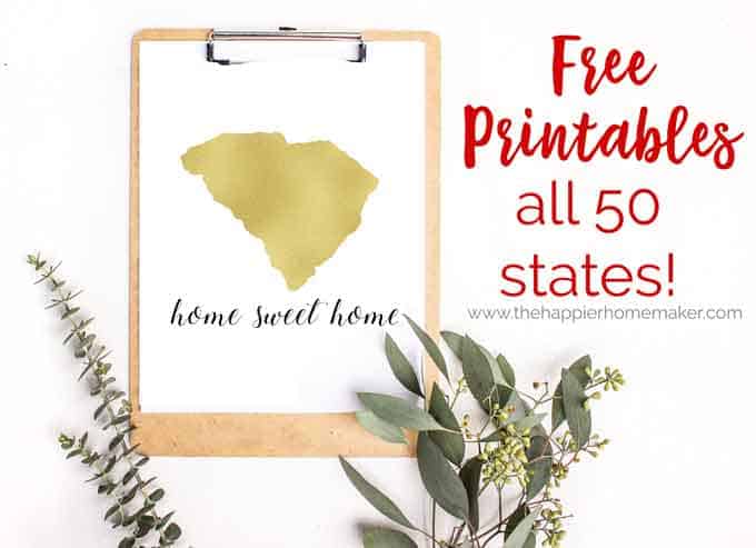 A print out of the state of South Carolina in gold with "home sweet home" underneath it with a green plant beneath it