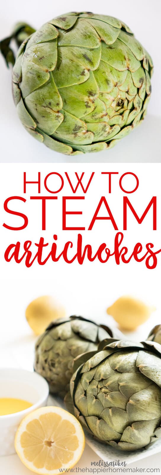 How to Cook an Artichoke - Easily Steam an Artichoke to ...