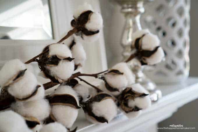 A close up of cotton stems