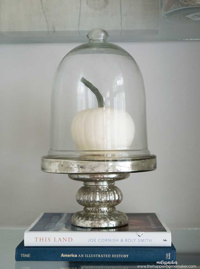 A close up a small white pumpkin in a glass display stand