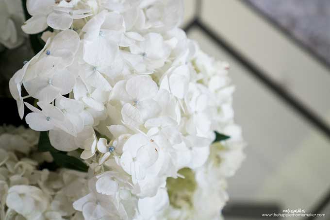 A close up of hydrangea flowers