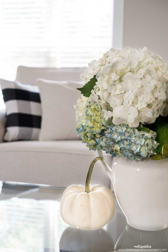A close up of hydrangea flowers in a white vase sitting in front of a white sofa