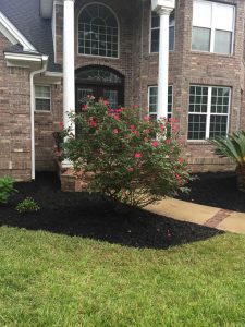 brick home with large rose bush in front