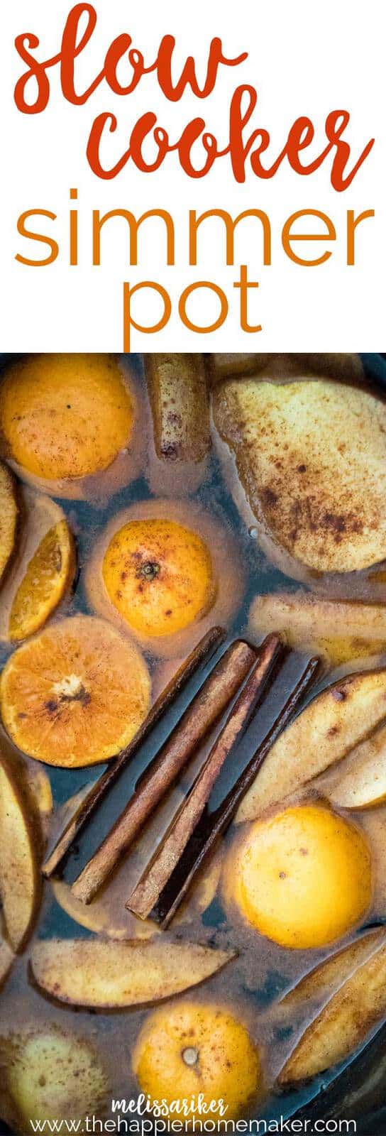 Autumn Slow Cooker Simmer Pot Stovetop Potpourri