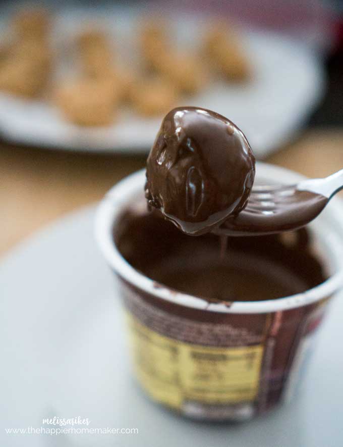 A close up of chocolate peanut butter ball dessert being dunked in chocolate 
