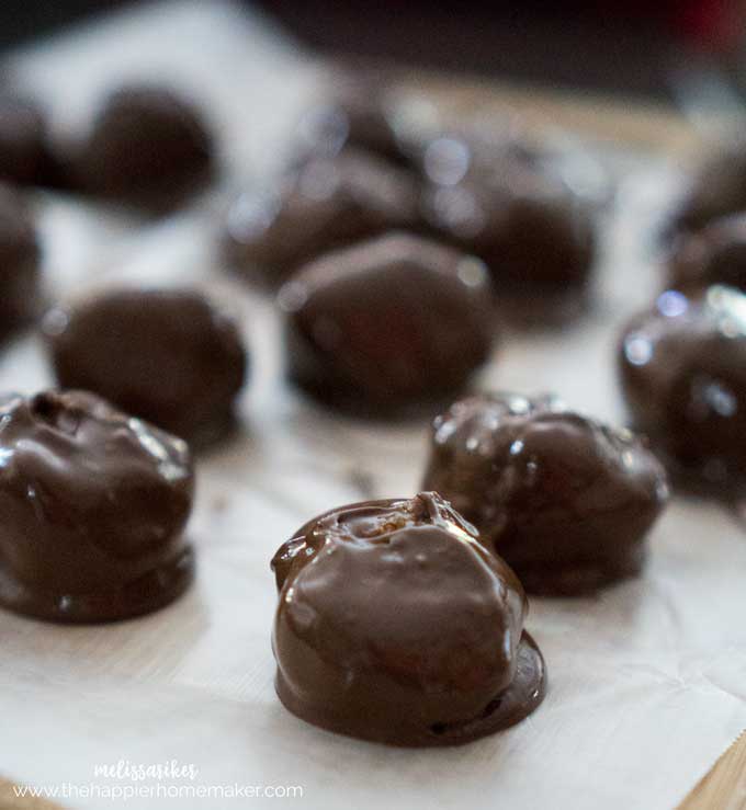 Chocolate Peanut Butter Balls (aka Buckeyes) on parchment paper
