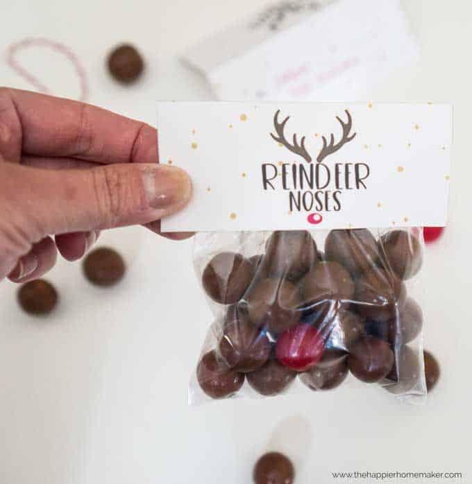 Reindeer Nose Gift with Free Printable Tags