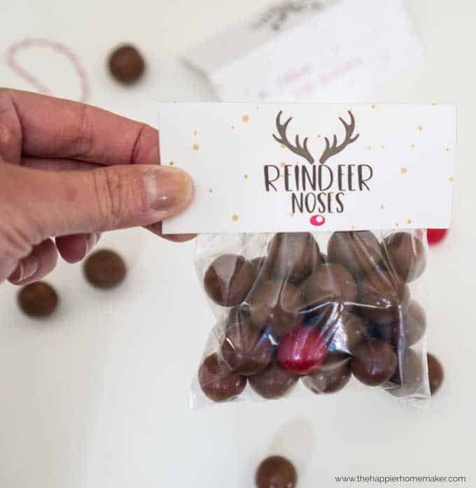 DIY Christmas printable gift titled reindeer noes