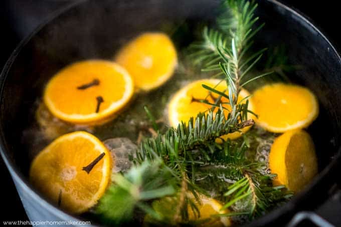 water with halved oranges with cloves and pine sprigs