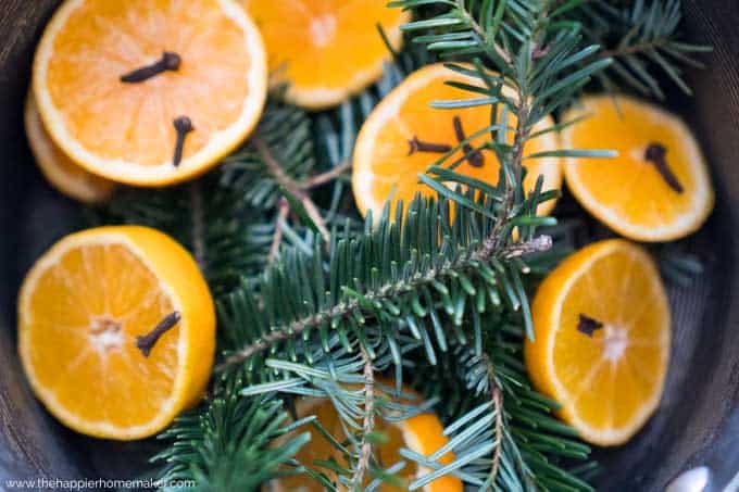 A close up of halved oranges with cloves and pine sprigs