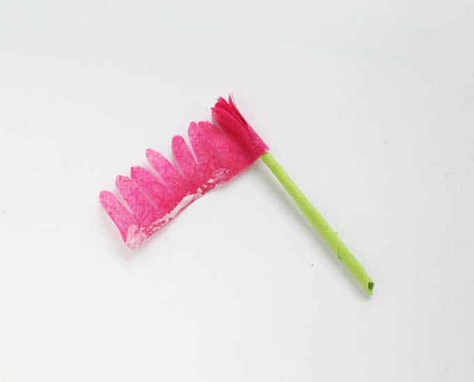 pink scalloped tissue paper wrapping around green paper stem