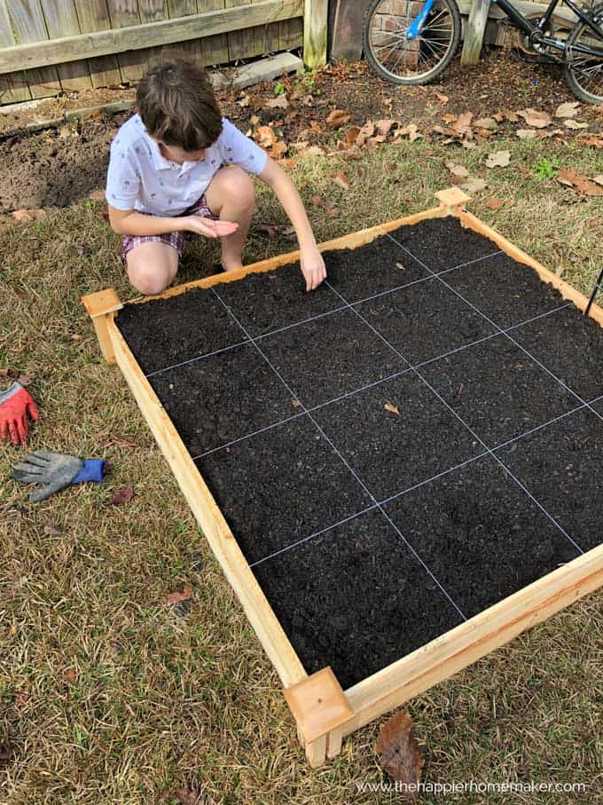 A little boy kneeling planting seeds in wooden raised garden bed