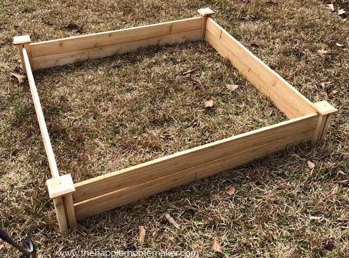 wood raised garden bed before filling with dirt