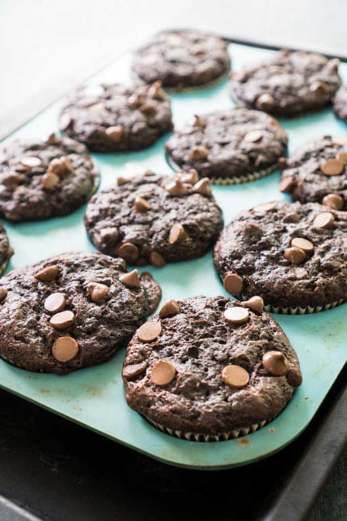 close up of chocolate zucchini muffins in blue muffin pan