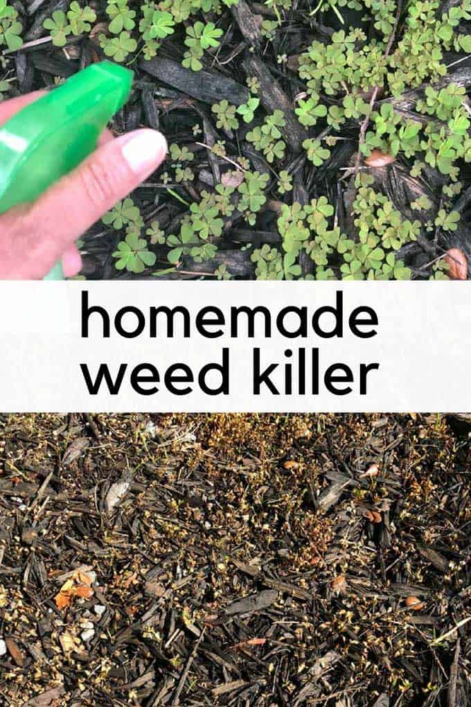 Homemade Weed Killer - Easy Natural