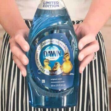 hands holding bottle of blue Dawn dish soap