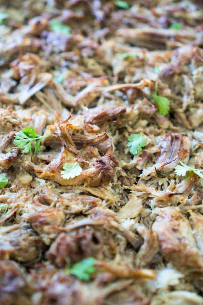 close up of carnitas meat with chopped cilantro