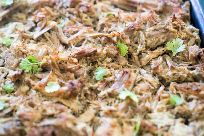 A close up of Carnitas with chopped cilantro garnish