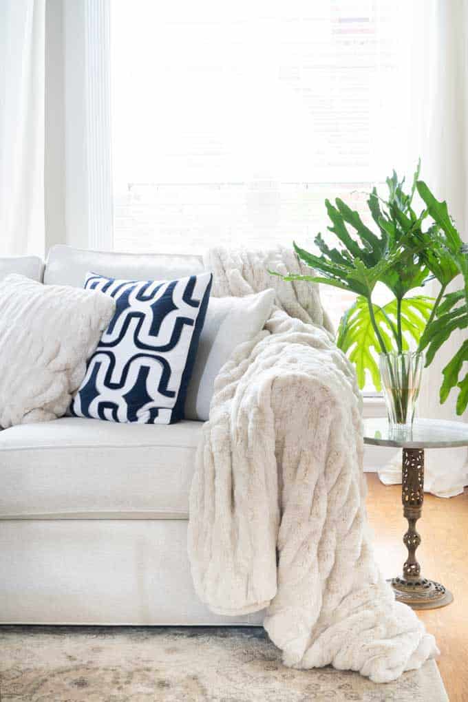 A room filled with furniture and vase of  green leaves on a table