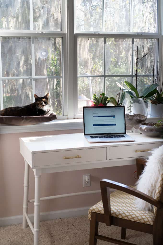 A cat sitting on a perch attached to a window in front of a white desk with laptop