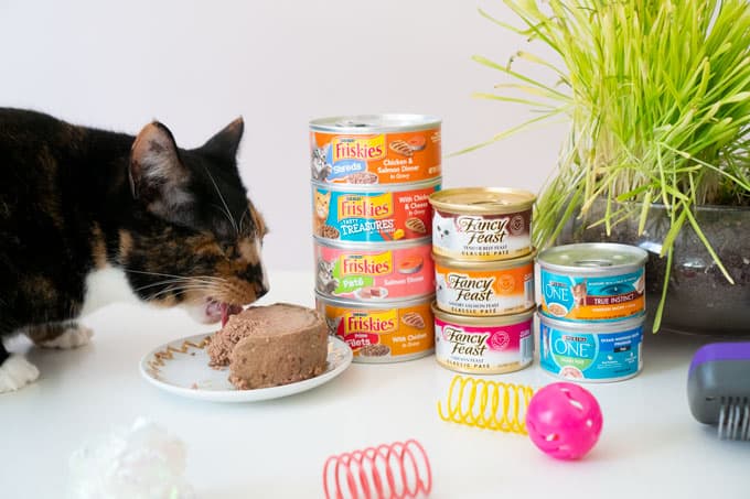 A cat eating food off of a table next to stacked cans of cat food and cat grass