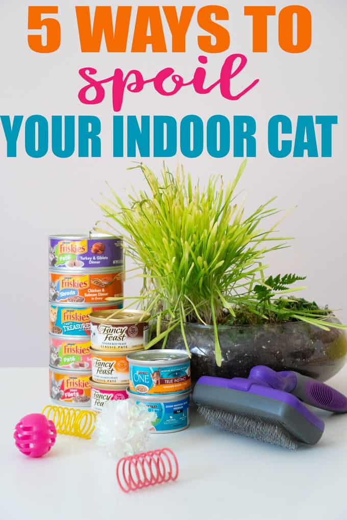 text reading "how to spoil your indoor cat" over photo of friskies canned cat food stacked next to cat brush, cat grass, and cat toys