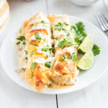 two white chicken enchiladas on white plate