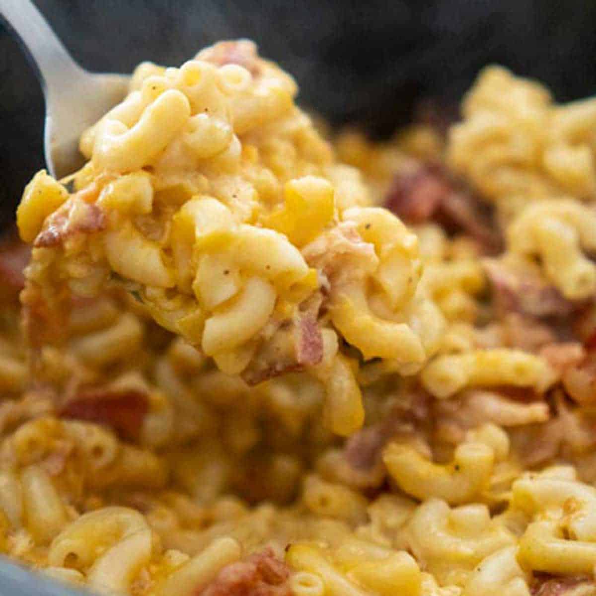spoon full of bacon mac and cheese