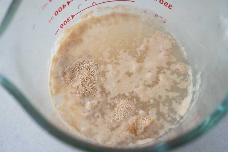 yeast frothing in measuring cup