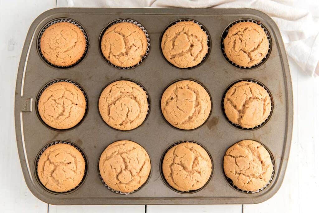 peanut butter cupcakes in muffin pan after baking with no frosting