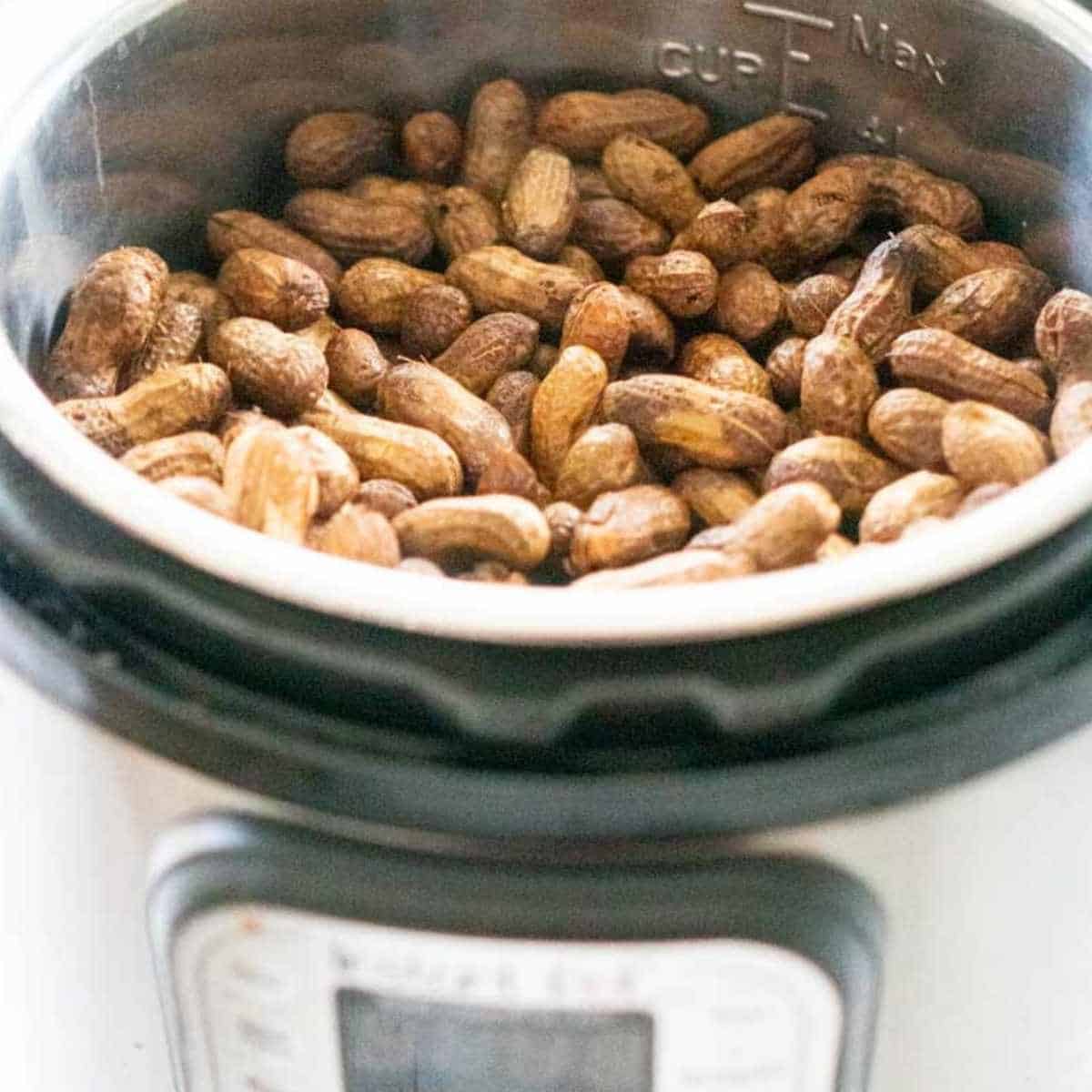 boiled peanuts in an Instant Pot