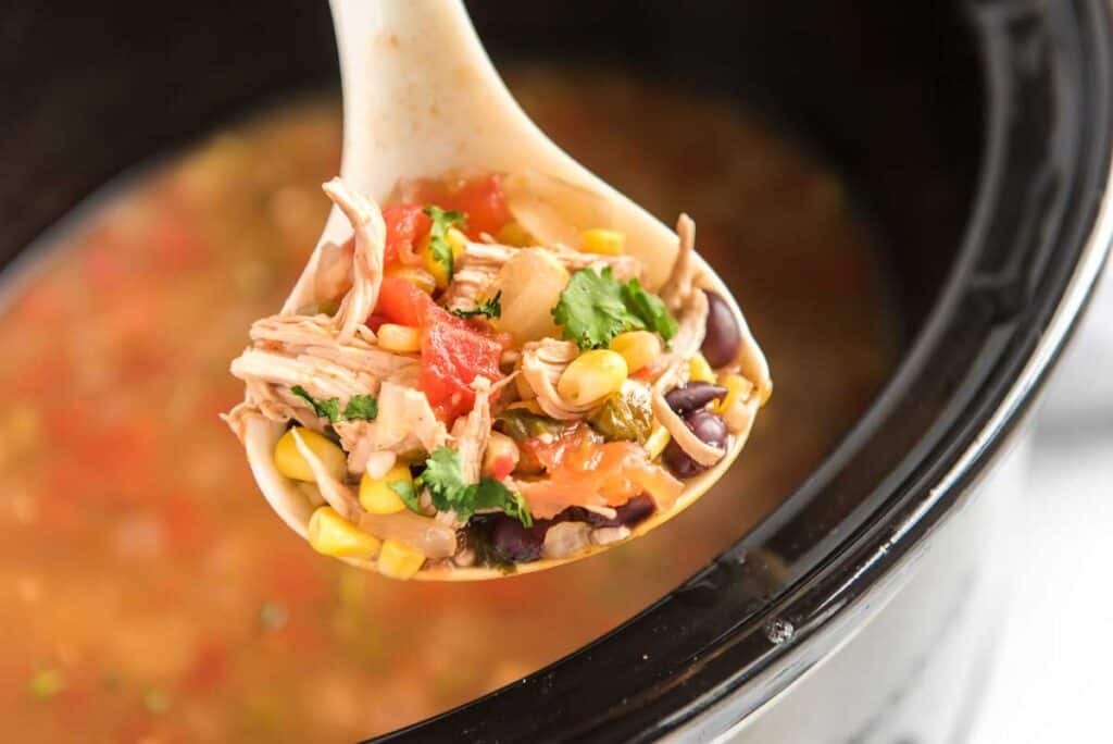 close up of large spoon with chicken tortilla soup