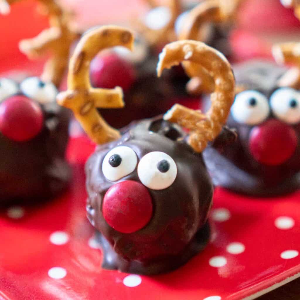 rudolph truffles on red dotted plate