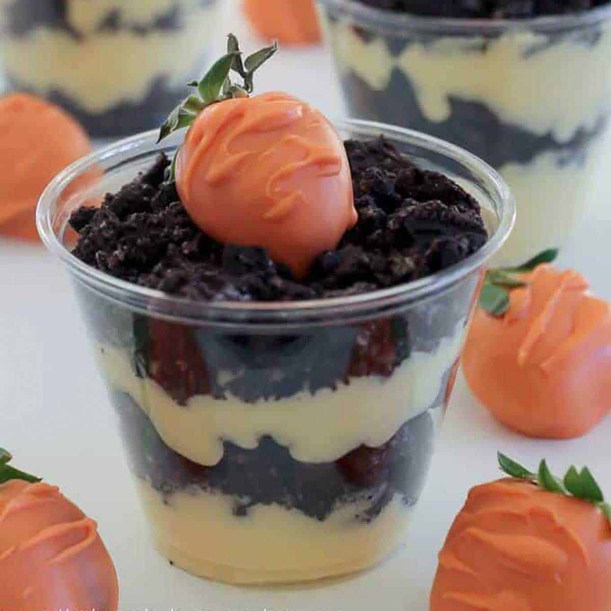 https://thehappierhomemaker.com/wp-content/uploads/2021/02/Chocolate-Strawberry-Carrots-in-dirt-cake-cups.jpg