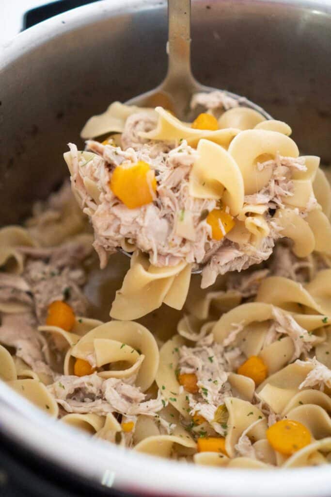 ladle of chicken noodle soup over instant pot