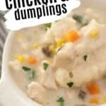 close up of chicken and dumplings in bowl