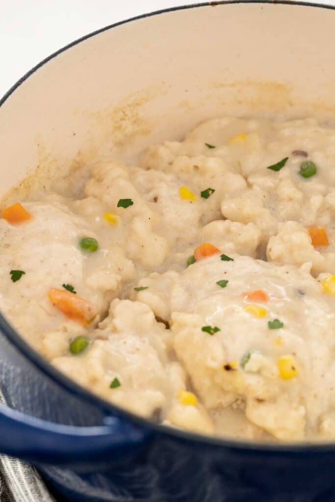 Dutch oven with Chicken and dumplings